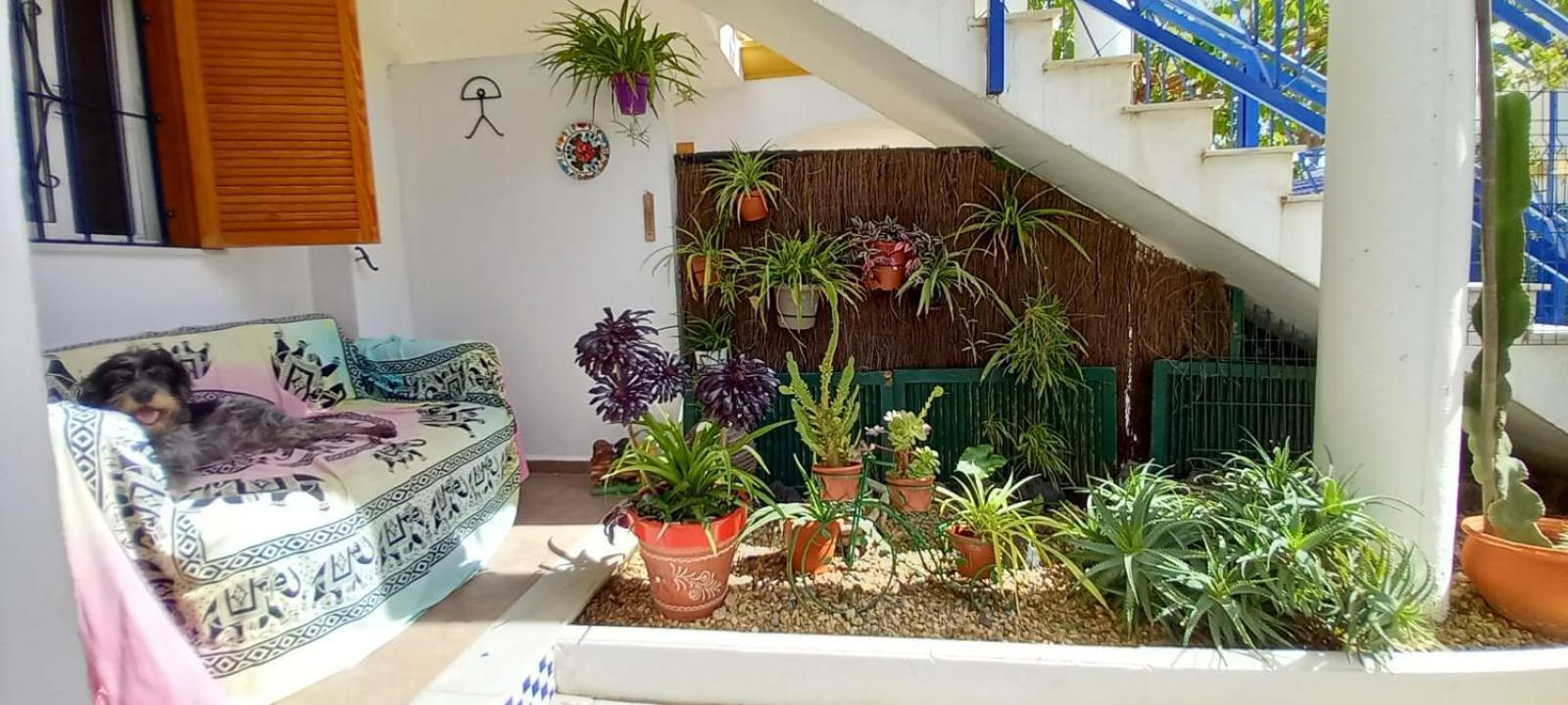 Appartement Casa Chiki à Vera Extérieur photo